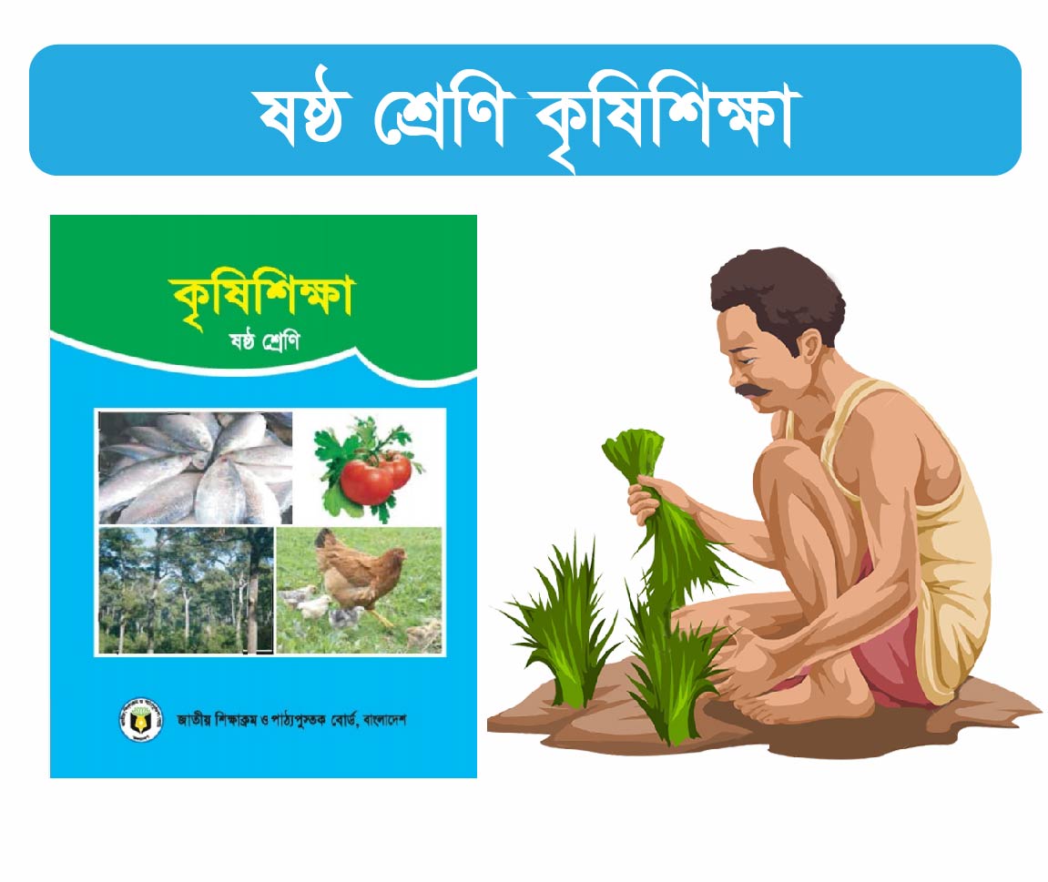 Class 6: কৃষি শিক্ষা 